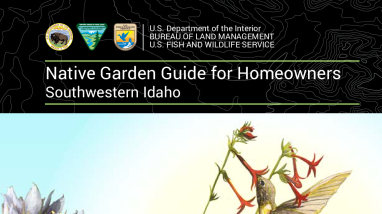 Southwest Idaho Native Plant Garden Guide
