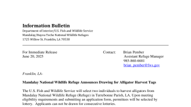 Mandalay National Wildlife Refuge Announces Drawing for Alligator Harvest Tags