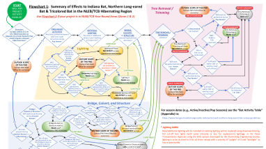 Summary of Effects to Indiana, Northern Long-eared, and Tricolored Bats in the NLEB/TCB Hibernating Region and Year-round Areas