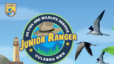 Culebra NWR Junior Ranger Program Booklet (Spanish Version)