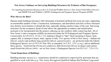 New Jersey Guidance on Surveying Buildings/Structures for Evidence of Bat Occupancy