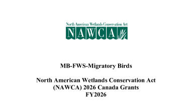 North American Wetlands Conservation Act Canada Grants Program Proposal Application Instructions