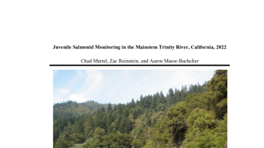 Juvenile Salmonid Monitoring in the Mainstem Trinity River, California, 2022