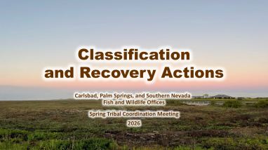 2026 Spring Tribal Coordination Meeting - Listing and Recovery Presentation