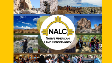 2026 Spring Tribal Coordination Meeting - NALC CFWO Presentation