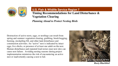 Timing Recommendations for Land Disturbance & Vegetation Clearing