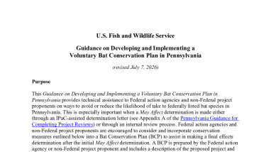 Indiana and Northern Long-eared Bat Survey, Consultation, and Recovery Documents - Pennsylvania