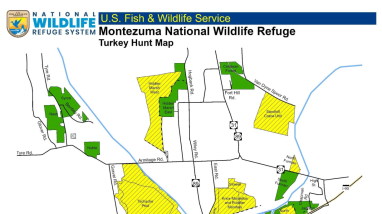 Wild Turkey Hunting Regulations/Montezuma NWR 2026