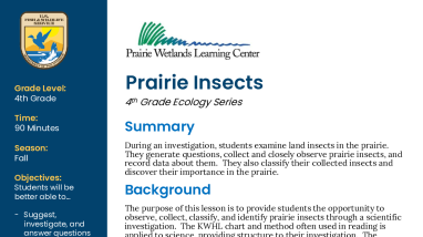 4th Grade Fall Prairie Insects