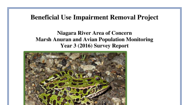 Final Anuran and Marsh Bird Survey Report: Year 3 (2016)