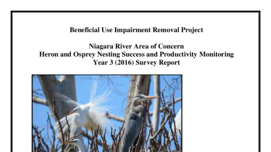 Final Heron and Osprey Survey Report: Year 3 (2016)