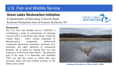 Contaminants of Emerging Concern Study, Rochester Embayment Area of Concern, Fact Sheet 