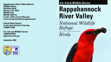Bird Brochure