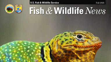 Fall 2023 Fish & Wildlife News