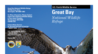 Great Bay Brochure updated 2021.pdf