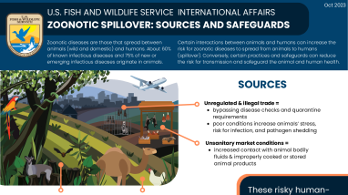 IA One Health: Zoonotic Spillover Factsheet (Oct. 2023)