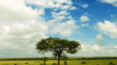 Developing Conservation Leaders Through MENTOR