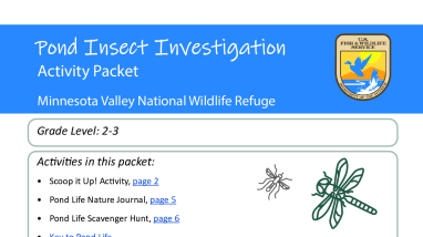 Pond Insect Investigation Distance Learning Packet (grades 2-3)