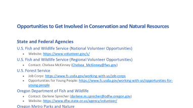 Opportunities to Get Involved in Conservation and Natural Resources