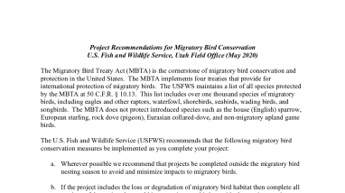 Utah Migratory Bird Recommendations 2020.pdf