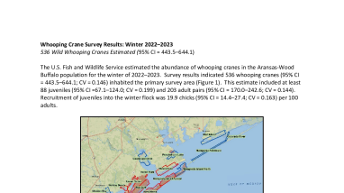 Whooping Crane Update Winter 2022-2023