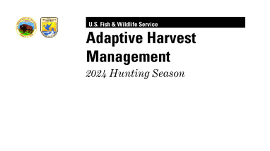 Adaptive Harvest Management 2024 Hunting Season