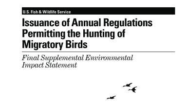 Issuance of Annual Regulations Permitting the Hunting of Migratory Birds, Final Supplemental Environmental Impact Statement