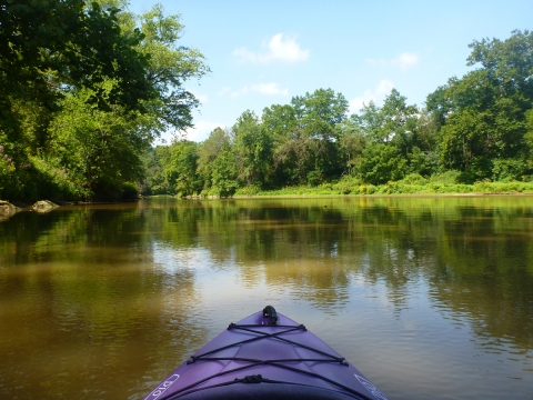 View from a kayak on a backchannel of the Ohio River