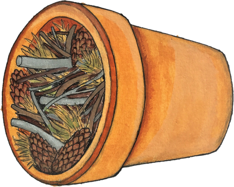 a pot filled with pinecones and sticks