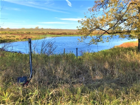 Wetland on a waterfowl production area with a data logger and staff gauges for water monitoring.