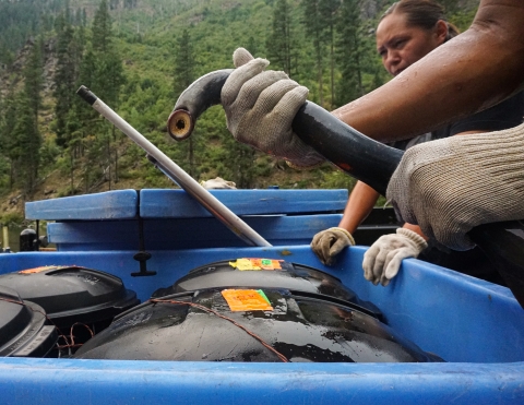 A lamprey is held by two gloved hands above transportation tanks.