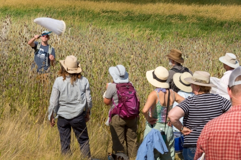Xerces Society's Senior Conservation Biologist, Rich Hatchfield, shows volunteers how to capture bumblebees at a workshop. Rich is holding a net while the volunteers look on.