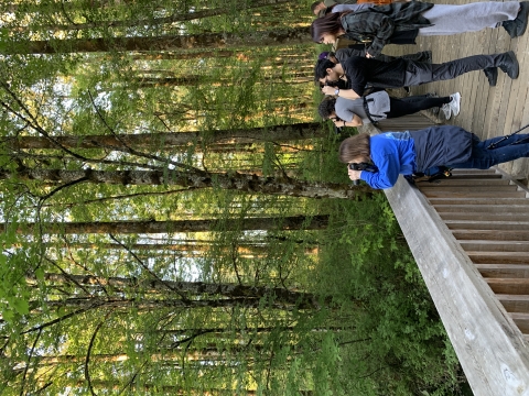 A group of people holding binoculars gather on a boardwalk trail in a deciduous forest, looking out at an unknown subject.
