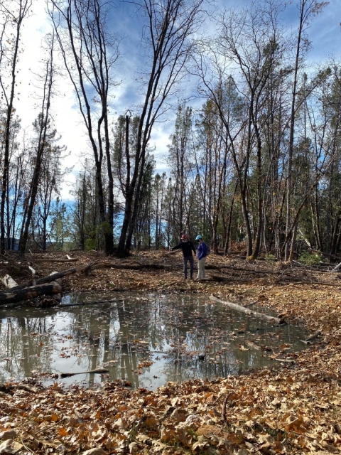 two biologists stand at the edge of a pond. It's winter and the trees are bare. The leaves are on the ground. 