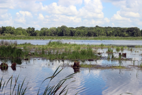 Wetlands at Horicon National Wildlife Refuge in Wisconsin.