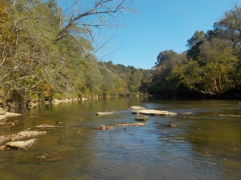 Cahaba River 