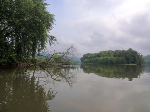 Clouds and fog lifting over Williamson Island