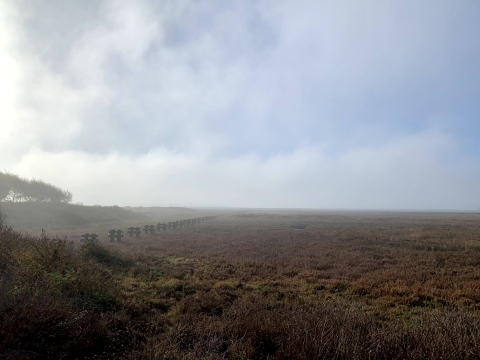Foggy morning during sunrise. The blue sky breaks through gradually as the image moves to the right. Marsh plants are a brown, red color. 