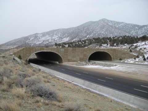 Wildlife Crossing