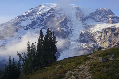 Mount Rainier rises from behind fog and trees on a ridgeline