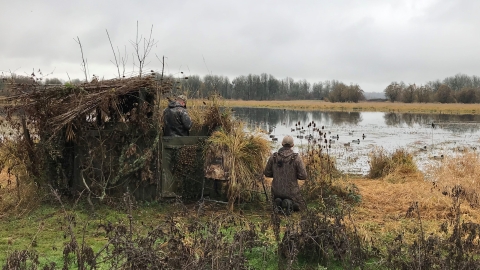 Two duck hunters next to a blind, with water in the distance, at Ridgefield National Wildlife Refuge