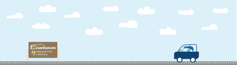 A graphic featuring a light blue sky with puffy clouds. At the bottom of the graphic, a fish drives a car along a road toward a sign that reads "Dwight D. Eisenhower National Fish Hatchery"