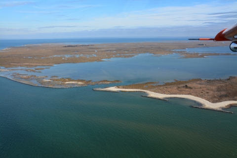 Aerial view of sea and island shows shoreline bolstered by oyster reefs