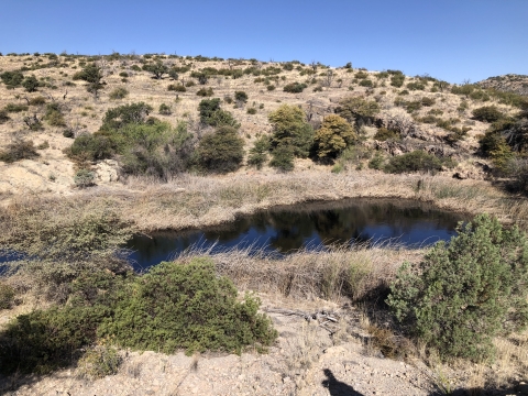 Natural spring in a desert landscape.