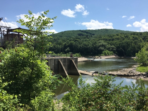 Cement dam in water surrounded by trees