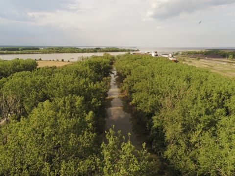 Otter Creek