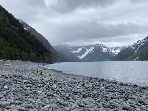 People stand on clean rocky beach with pile of trash bags full of debris they removed.