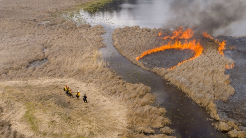 Four firefighters observe a prescribed burn in a wetland