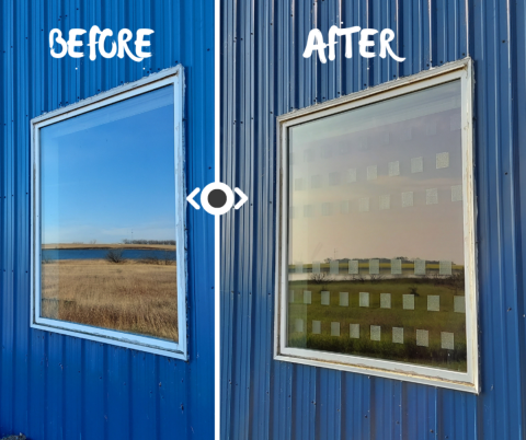 Before and after window treatment