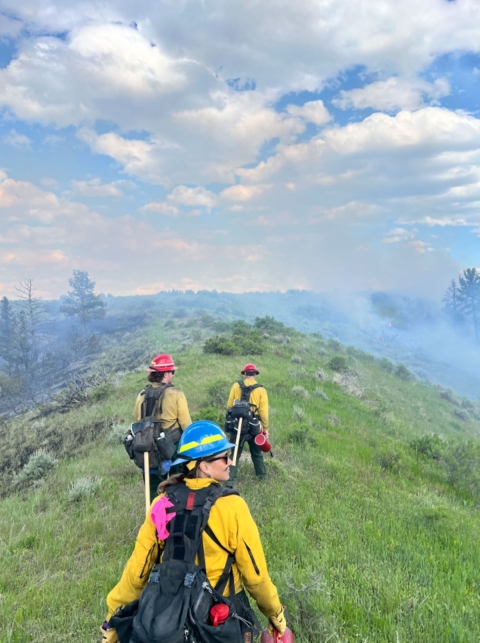 Three firefighters walk along a grassy ridge while a prescribed fire burns in the trees in front of them.